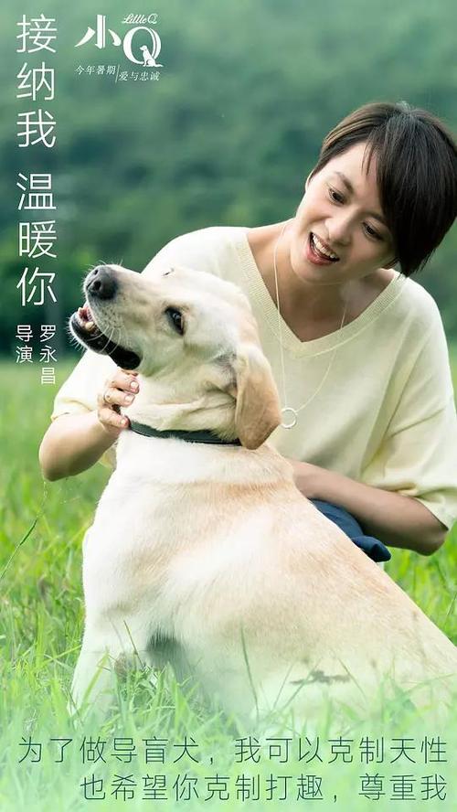 买个密西西比州驾驶执照多少钱